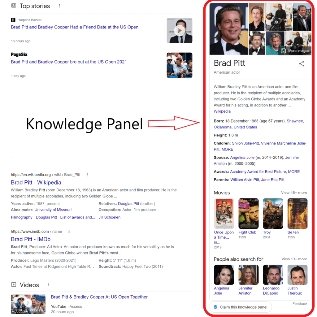 Google Knowledge Panel for Your Brand Beyond Wikipedia: A Detailed Guide